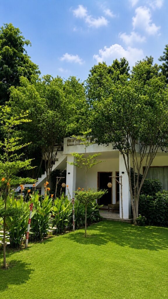 Cottage and lawn