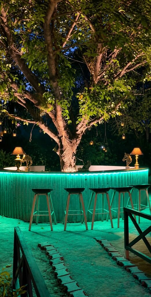 Garden bar at night
