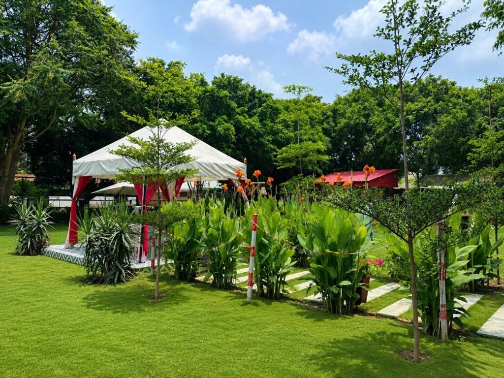 Garden tents and tropical planting