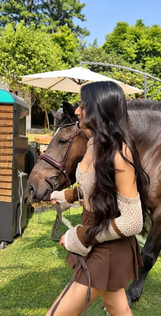 Say hello to the horses