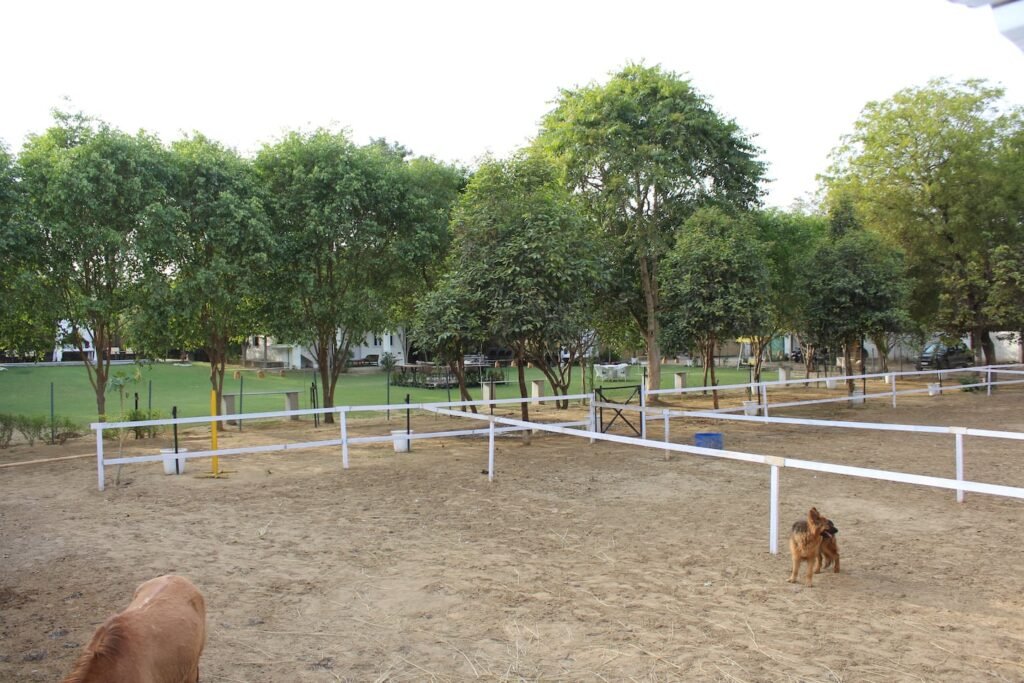 Riding arena at the farm